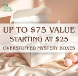 Overstuffed Mystery Boxes Starting at $25 | Choose Size | Up to $75 Value!